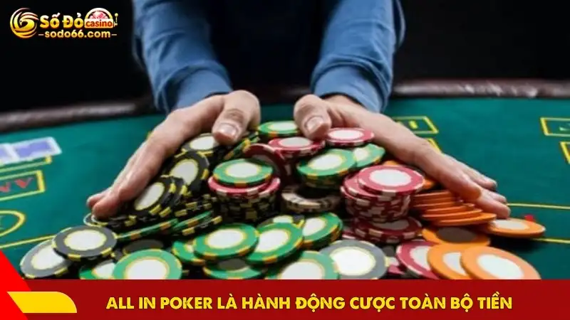 All in poker là hành động cược toàn bộ tiền