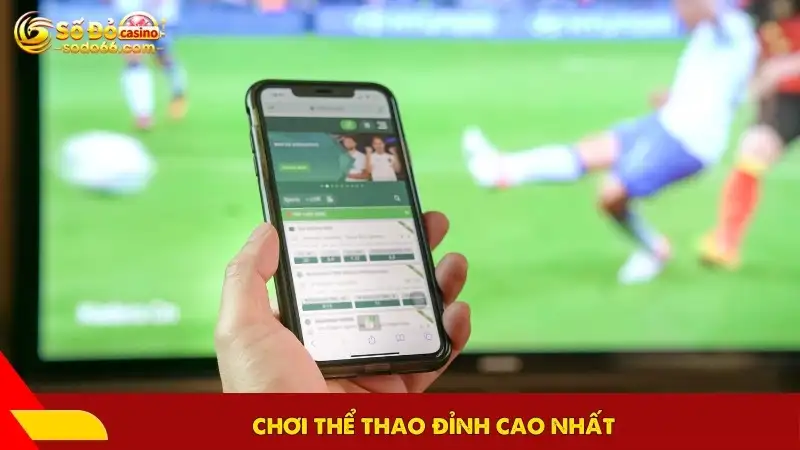 Chơi thể thao đỉnh cao nhất